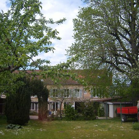 Gite Du Vieux Tilleul Fère-en-Tardenois المظهر الخارجي الصورة