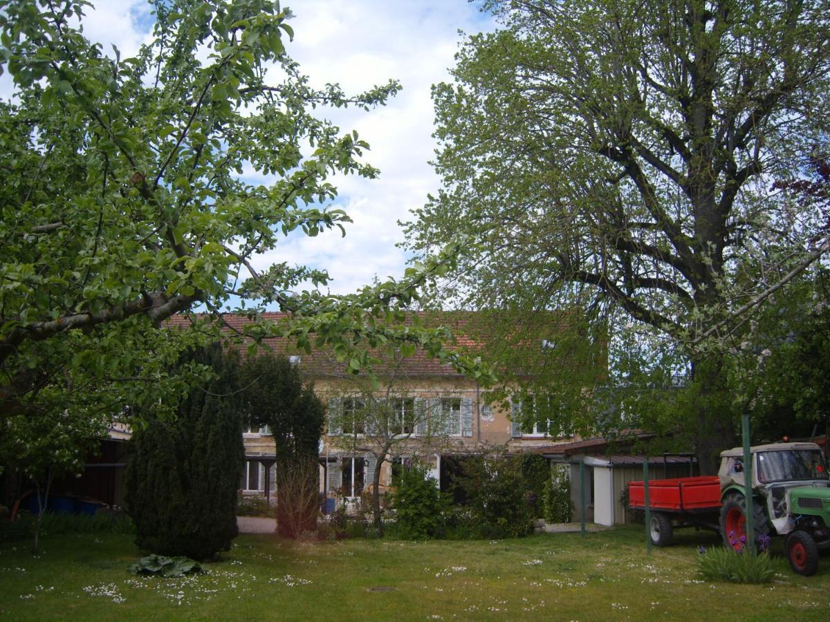 Gite Du Vieux Tilleul Fère-en-Tardenois المظهر الخارجي الصورة